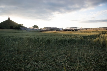 DSC 0539
