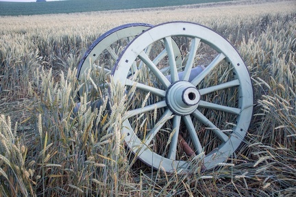 DSC 0620